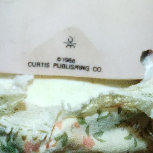 BRADFORD EXCHANGE DOLLS 3 W/ACCESSORIES - Picture 4 of 16